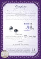 product certificate: FW-B-AAAA-78-E-Angelina