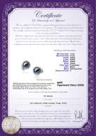 Product certificate: FW-B-AAAA-78-E-Angelina