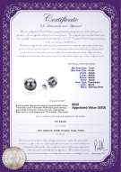 Product certificate: FW-B-AAAA-78-E-Britt