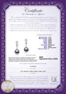 Product certificate: FW-B-AAAA-78-E-Colleen