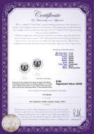 Product certificate: FW-B-AAAA-78-E-Morgan