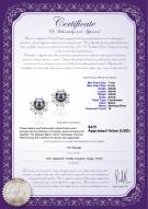 product certificate: FW-B-AAAA-78-E-Natasha