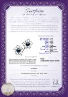 Product certificate: FW-B-AAAA-78-E-SunFlower