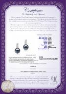 product certificate: FW-B-AAAA-78-E-Valery