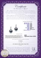 Product certificate: FW-B-AAAA-78-E-Valery