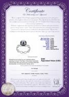 product certificate: FW-B-AAAA-78-R-Wave