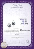 Product certificate: FW-B-AAAA-89-E-Africa