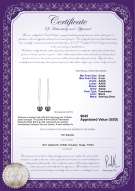 Product certificate: FW-B-AAAA-89-E-Dottie