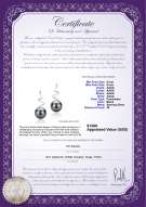 Product certificate: FW-B-AAAA-89-E-Lolita