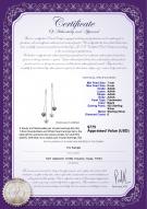 product certificate: FW-BW-AAAA-78-E-Brenda