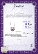 product certificate: FW-L-AA-910-P-Katie