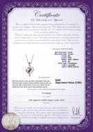 product certificate: FW-L-AA-910-P-Leeza