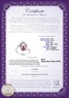product certificate: FW-L-AA-910-R-Chantel