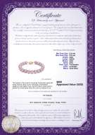 Product certificate: FW-L-AAA-8595-B