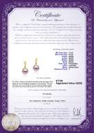 Product certificate: FW-L-AAAA-78-E-Georgia