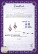 Product certificate: FW-L-AAAA-78-E-Valery