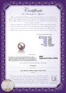 Product certificate: FW-L-AAAA-910-L1