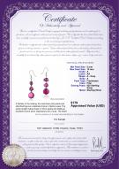 product certificate: FW-P-A-510-E-Keita