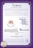 Product certificate: FW-P-AA-910-R-Sadie
