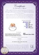 Product certificate: FW-P-AA-910-R-Sadie