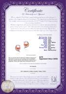 Product certificate: FW-P-AAA-56-E-Dolphin