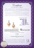 Product certificate: FW-P-AAAA-78-E-Valery