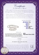product certificate: FW-W-A-611-N-Chloe