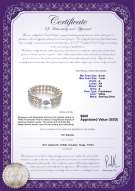 Product certificate: FW-W-A-67-B-DBL