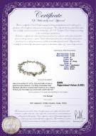 product certificate: FW-W-A-67-N-Harmony