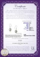 Product certificate: FW-W-A-89-E-Connor