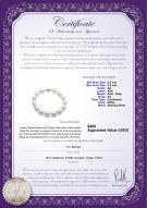product certificate: FW-W-AA-8595-B-Drop