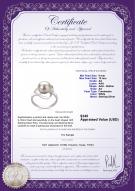 Product certificate: FW-W-AA-910-R-Sadie