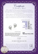 product certificate: FW-W-AAA-56-E-Dolphin