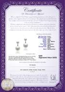 Product certificate: FW-W-AAA-611-E-Zelda