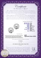 Product certificate: FW-W-AAA-89-E-Noah