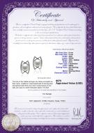 product certificate: FW-W-AAA-89-E-Odelia