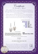 Product certificate: FW-W-AAA-910-E-Melinda