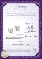 Product certificate: FW-W-AAAA-1011-E-Berry