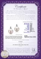 Product certificate: FW-W-AAAA-1011-E-Hailey