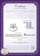 Product certificate: FW-W-AAAA-1011-R-Tindra