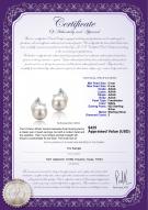 product certificate: FW-W-AAAA-556-E-Tanita