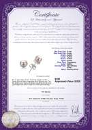 Product certificate: FW-W-AAAA-56-E-Jalena