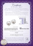 Product certificate: FW-W-AAAA-67-E-Sharon