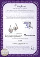 Product certificate: FW-W-AAAA-67-E-Tamika