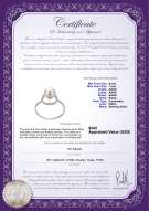 Product certificate: FW-W-AAAA-67-R-Andy