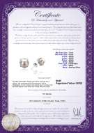 Product certificate: FW-W-AAAA-78-E-Britt