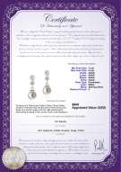 Product certificate: FW-W-AAAA-78-E-Colleen