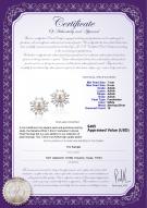 Product certificate: FW-W-AAAA-78-E-Natasha