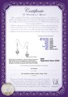 Product certificate: FW-W-AAAA-78-E-Sandra