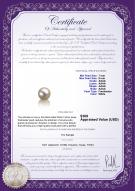 product certificate: FW-W-AAAA-78-L1